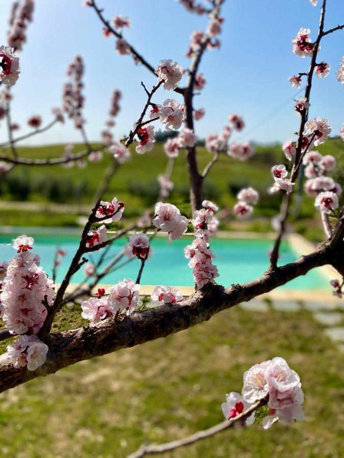 B&B Monte Di Bu Bagno Roselle Екстер'єр фото