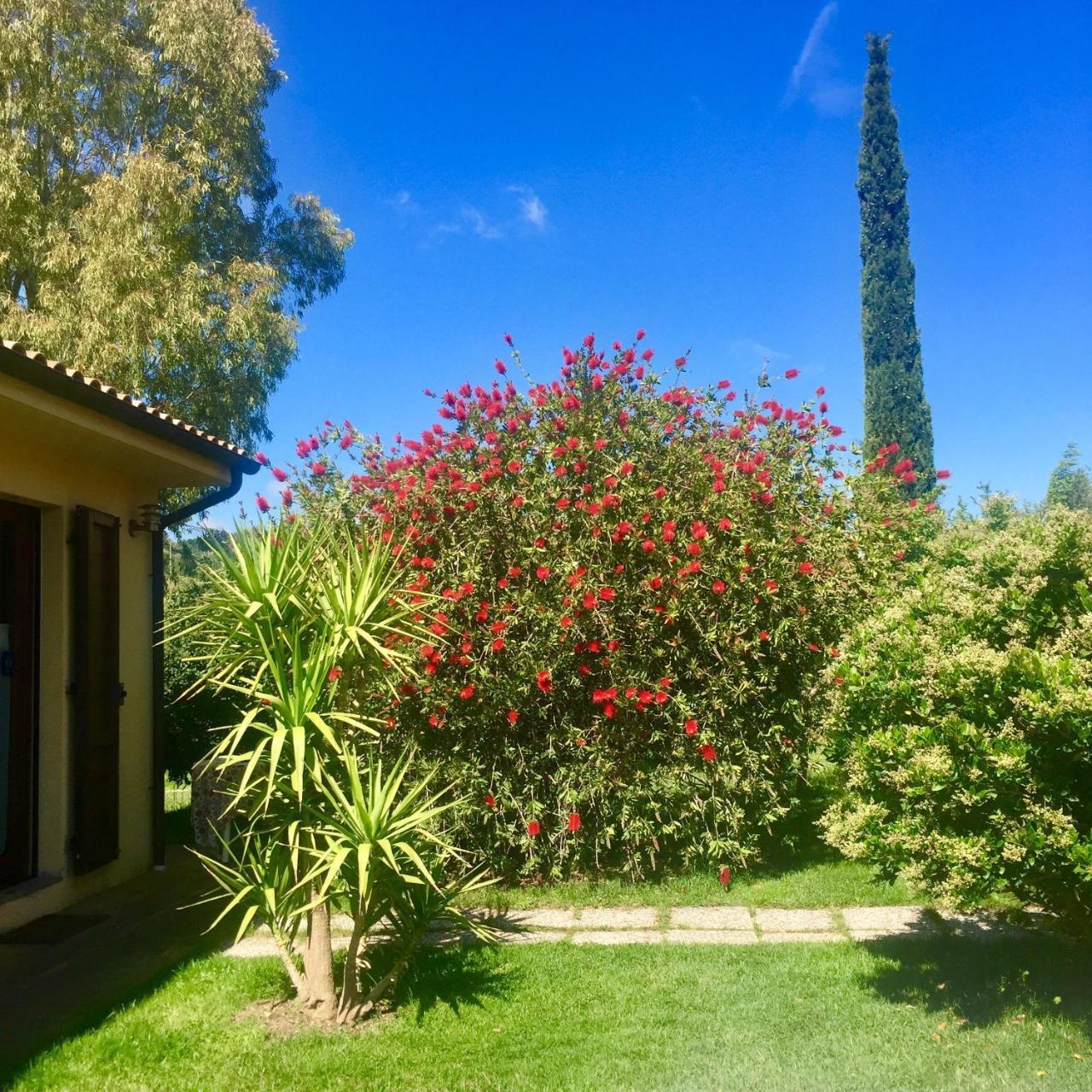 B&B Monte Di Bu Bagno Roselle Екстер'єр фото
