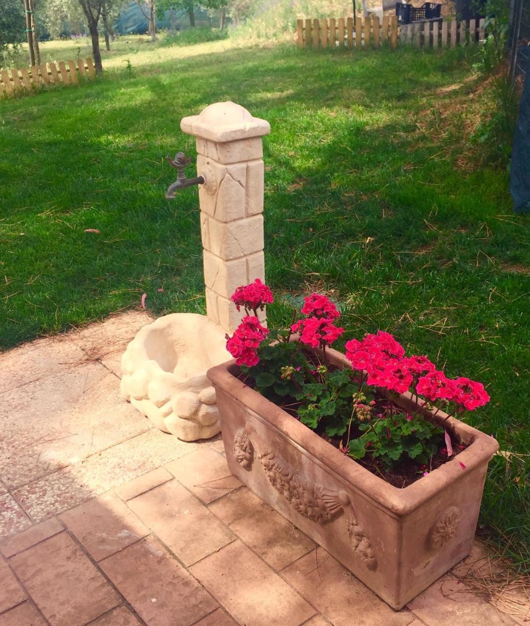 B&B Monte Di Bu Bagno Roselle Екстер'єр фото