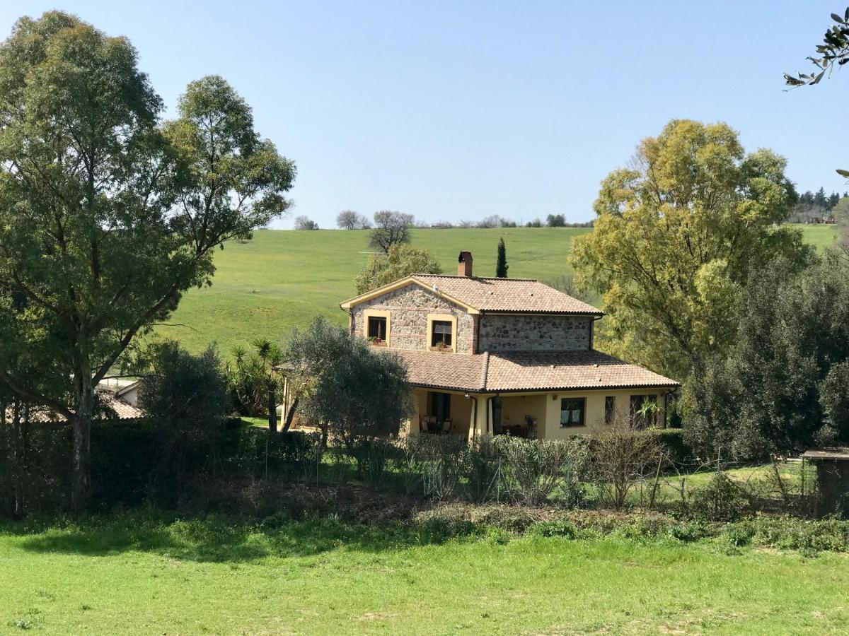B&B Monte Di Bu Bagno Roselle Екстер'єр фото